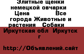 Элитные щенки немецкой овчарки › Цена ­ 30 000 - Все города Животные и растения » Собаки   . Иркутская обл.,Иркутск г.